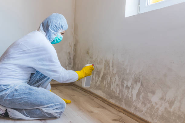 Mold inspector in Baltimore performing thermal imaging