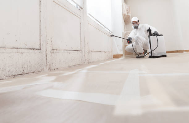 Post-remediation clearance in Baltimore